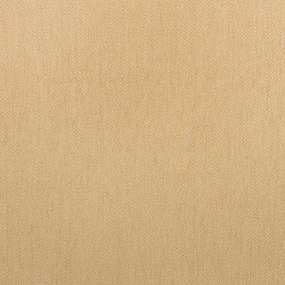Kravet Fabric 35361-616