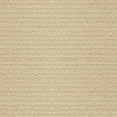 Kravet Fabric 34475-116