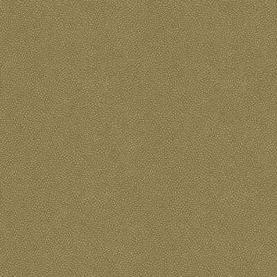 Kravet Fabric Pietra-11