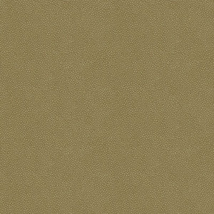 Kravet Fabric Pietra-11