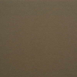 Kravet Fabric Gato-621