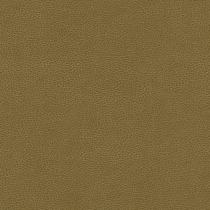 Kravet Fabric Gillian-606