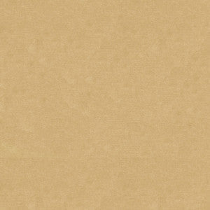 Kravet Fabric 33125-14
