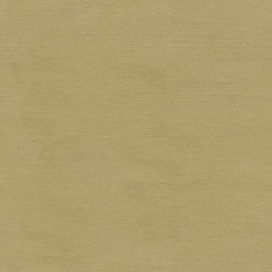 Kravet Fabric Versailles-E244280