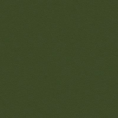 Kravet Fabric Berta-303