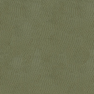 Kravet Fabric Ossy-11