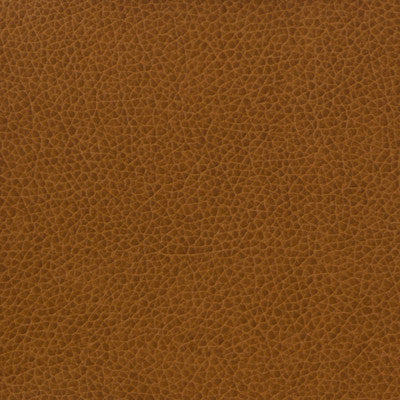 Kravet Fabric Matter-616