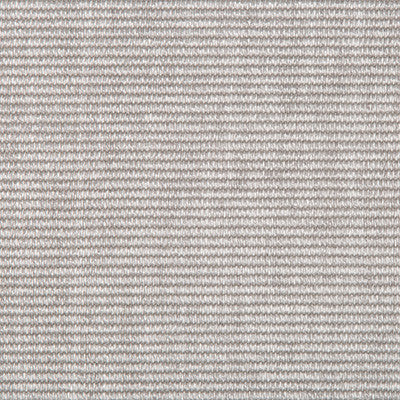 Kravet Fabric Topanga Gris