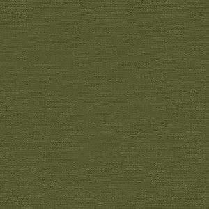 Kravet Fabric Versailles-E262020