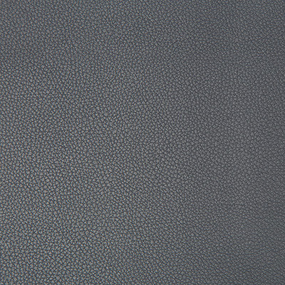 Kravet Fabric Syrus Iron