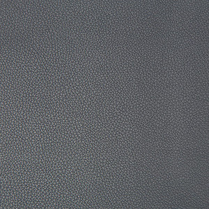 Kravet Fabric Syrus Iron