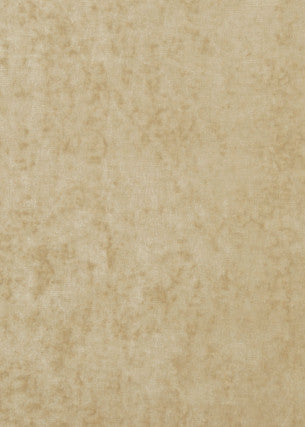 G P & J Baker Fabric Vintage Velvet Oyster