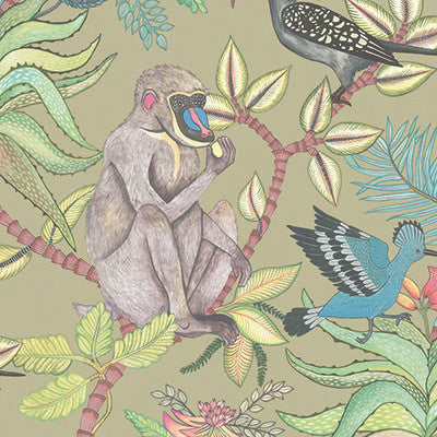 Cole & Son Wallpaper Savuti Khaki Multi
