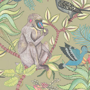 Cole & Son Wallpaper Savuti Khaki Multi