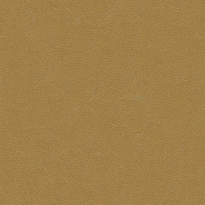 Kravet Fabric Grana-1616