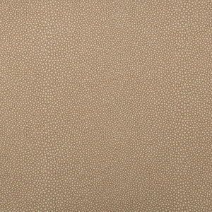 Kravet Fabric Mindy-106