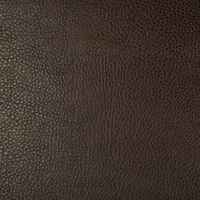 Kravet Fabric Beholder-6
