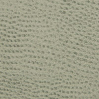 Kravet Fabric Belus-135
