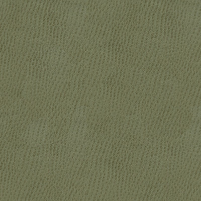 Kravet Fabric Belus-11
