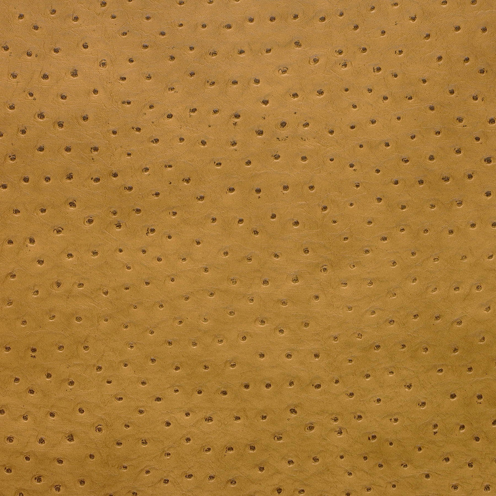 Kravet Fabric Senna-4