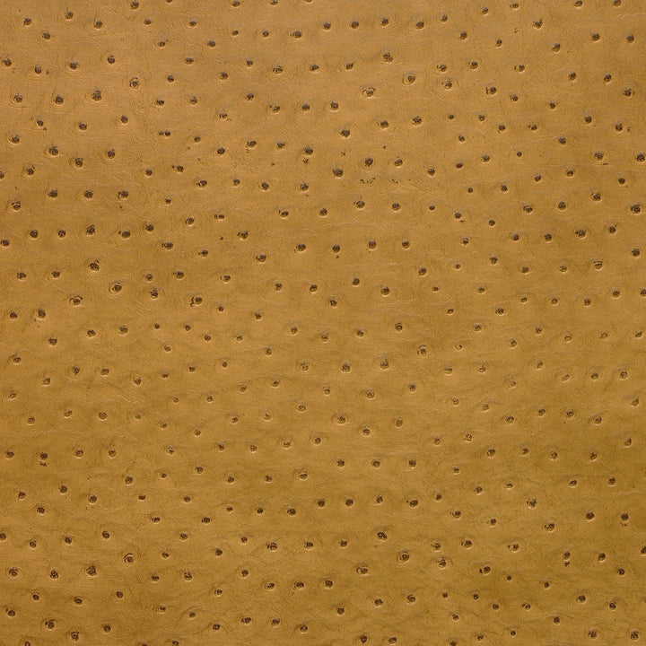 Kravet Fabric Senna-4