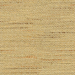 Kravet Fabric 33135-1611