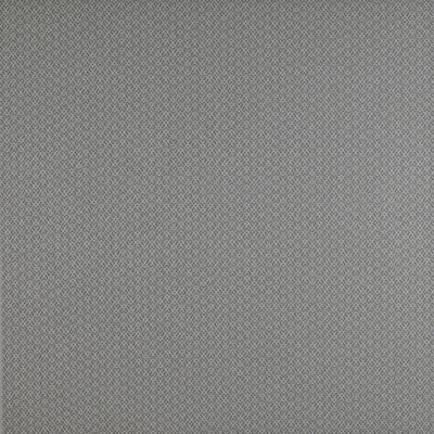 Gaston Y Daniela Fabric Chueca Gris