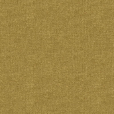 Kravet Fabric 33125-323