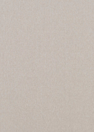 Baker Lifestyle Fabric Carnival Plain Silver