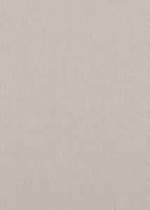 Baker Lifestyle Fabric Carnival Plain Silver