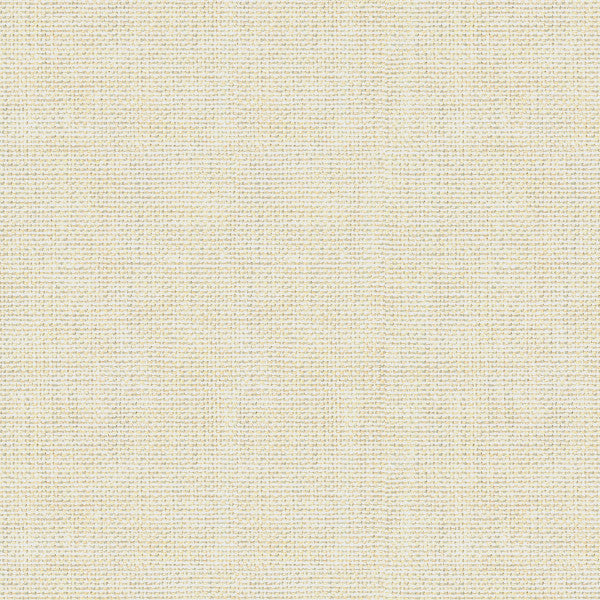 Kravet Fabric 30299-111