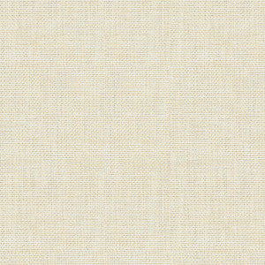 Kravet Fabric 30299-111