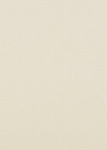 Baker Lifestyle Fabric Lansdowne Ivory
