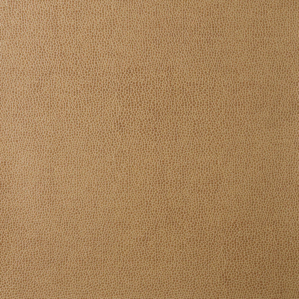 Kravet Fabric Sparta-16