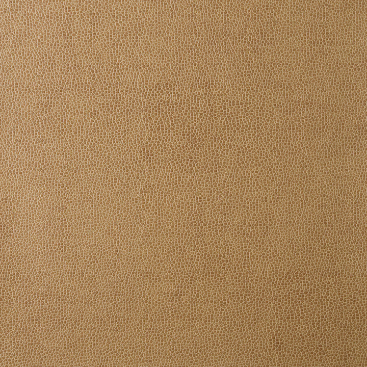 Kravet Fabric Sparta-16