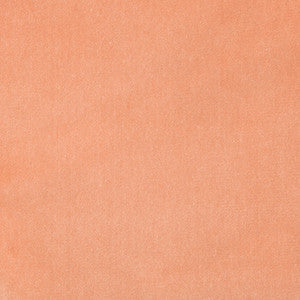 Kravet Fabric Versailles-E220580