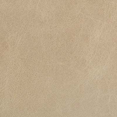 Kravet Fabric L-Davos-Oatmeal