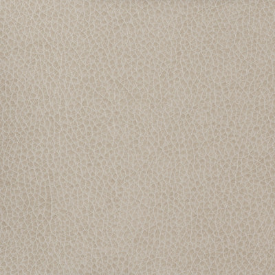 Kravet Fabric Matter-11