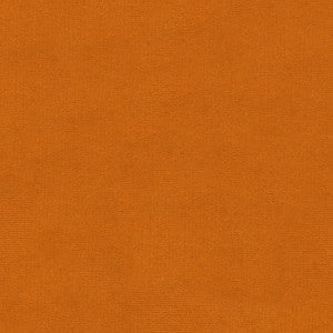 Kravet Fabric Versailles-E290020