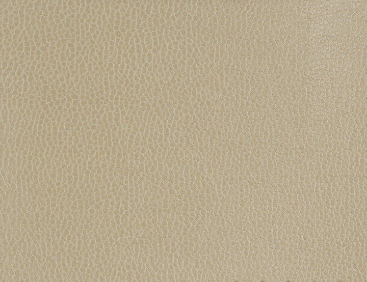 Kravet Fabric Gillian-1616