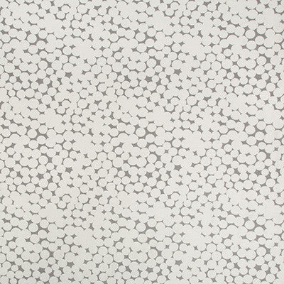 Kravet Fabric Olivos Gris