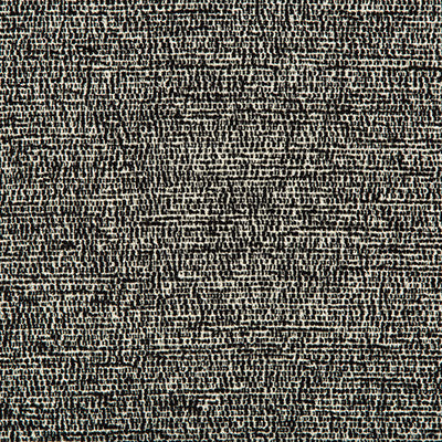 Kravet Fabric Slubbable Black