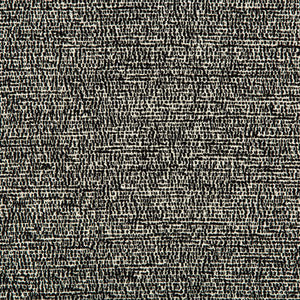 Kravet Fabric Slubbable Black