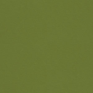 Kravet Fabric 32565-303