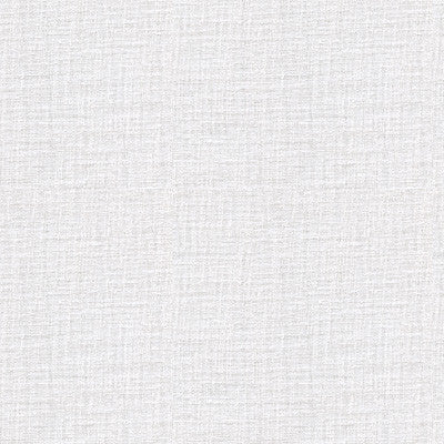 Kravet Fabric 4110-101