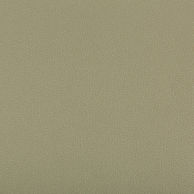 Kravet Fabric Syrus Sage