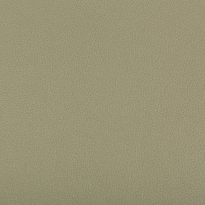 Kravet Fabric Syrus Sage