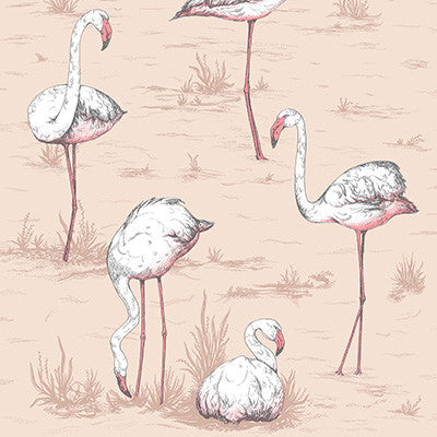 Cole & Son Wallpaper Flamingos Plaster Pink