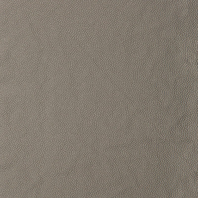 Kravet Fabric Aldwin-1121
