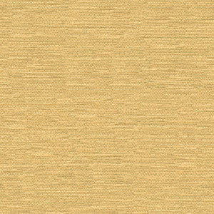 Kravet Fabric 32877-116